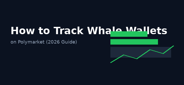 How to Track Whale Wallets on Polymarket (2026 Guide)