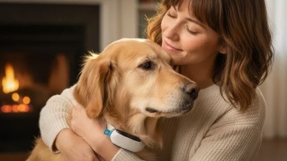 Invoxia: Hundetracker ermittelt Stress über Herzvariabilität