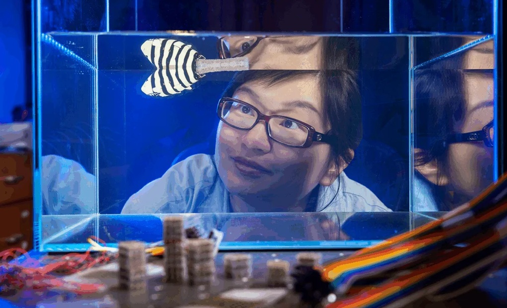 Lego-like mechanical blocks let robots reprogram stiffness and swimming paths