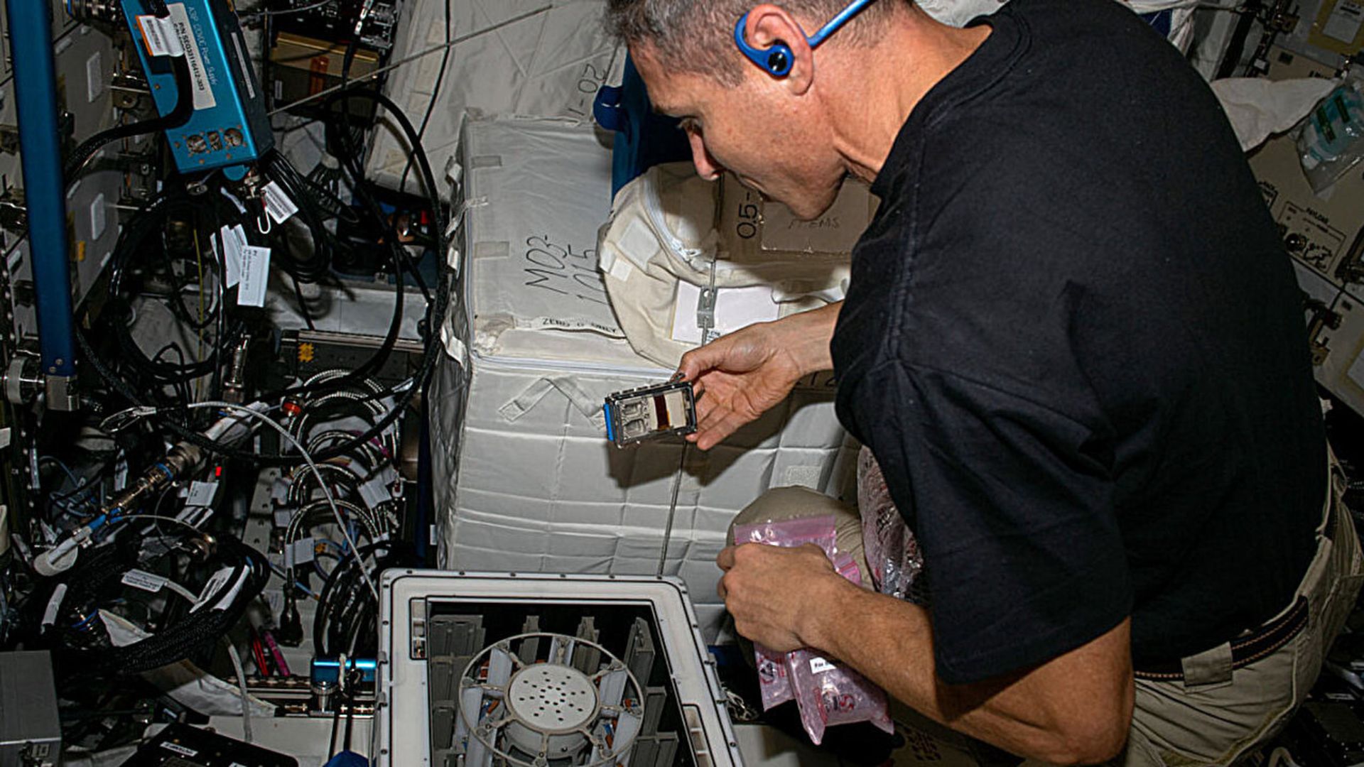 Microbes extract metals from meteorite on space station in zero gravity test