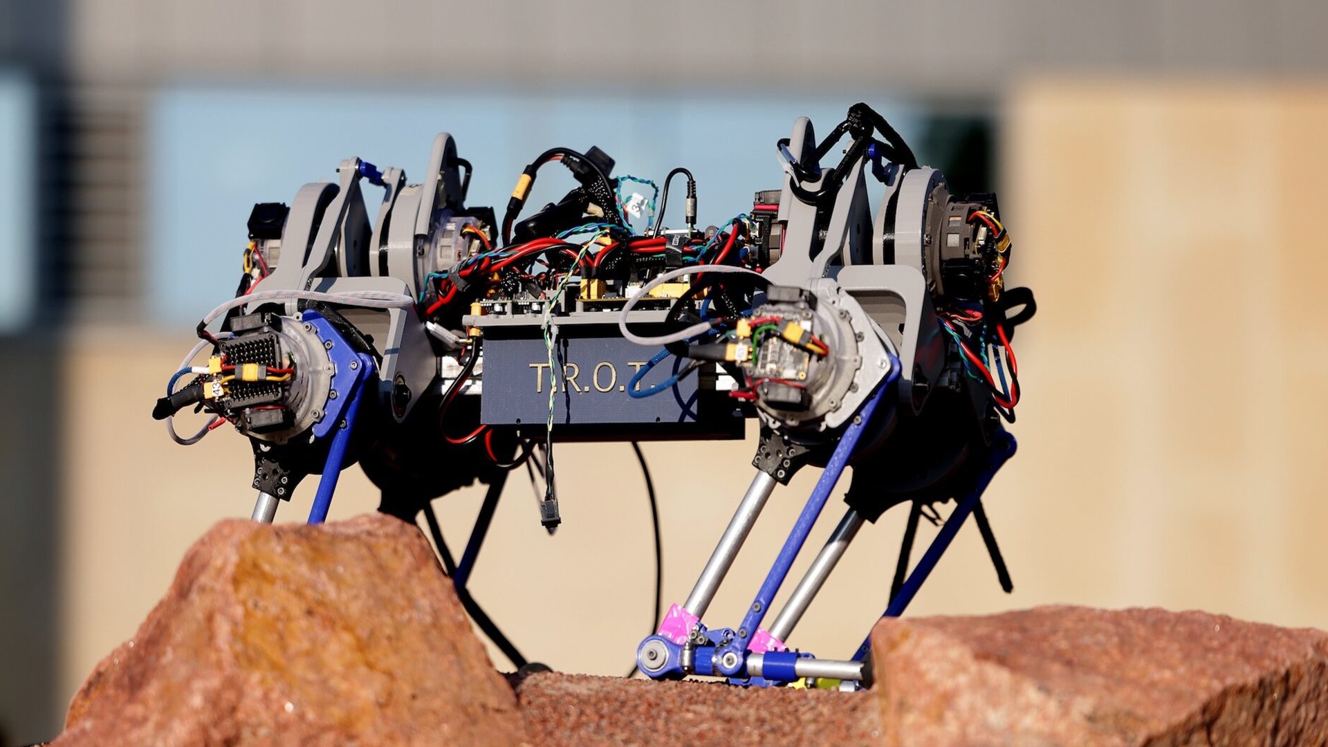 Modular $4K quadruped robot lets scientists test how evolution shaped animal speed