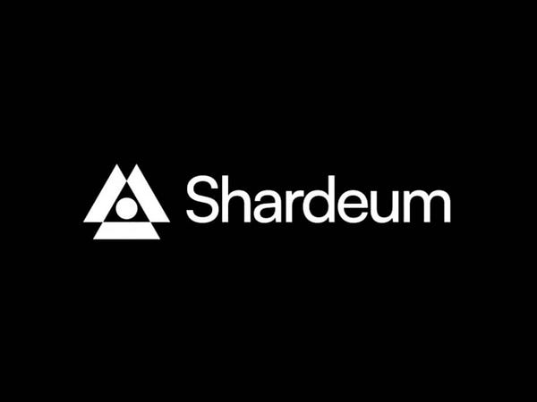 Shardeum: Solving Scalability with Dynamic State Sharding