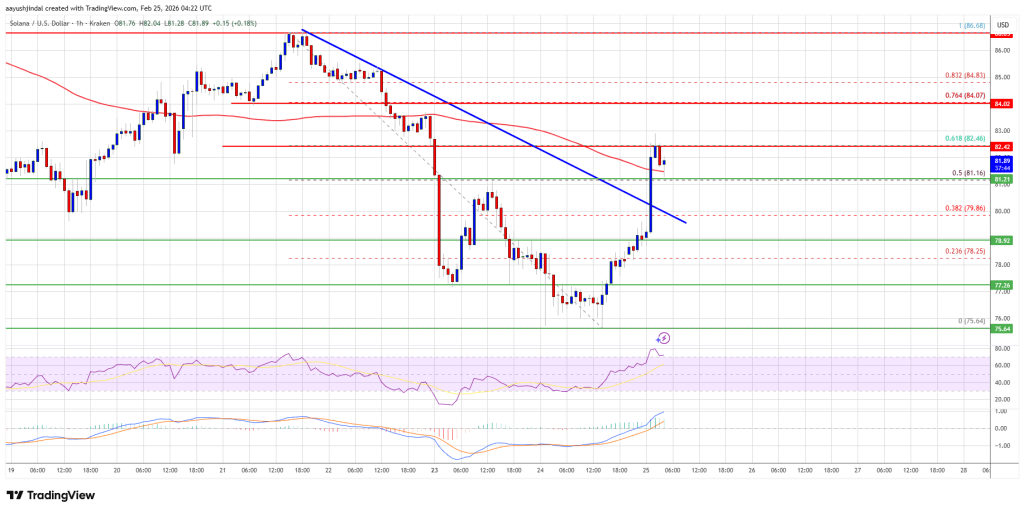 Solana (SOL) Recovery Shows Strength After Breaking Initial Resistance Level