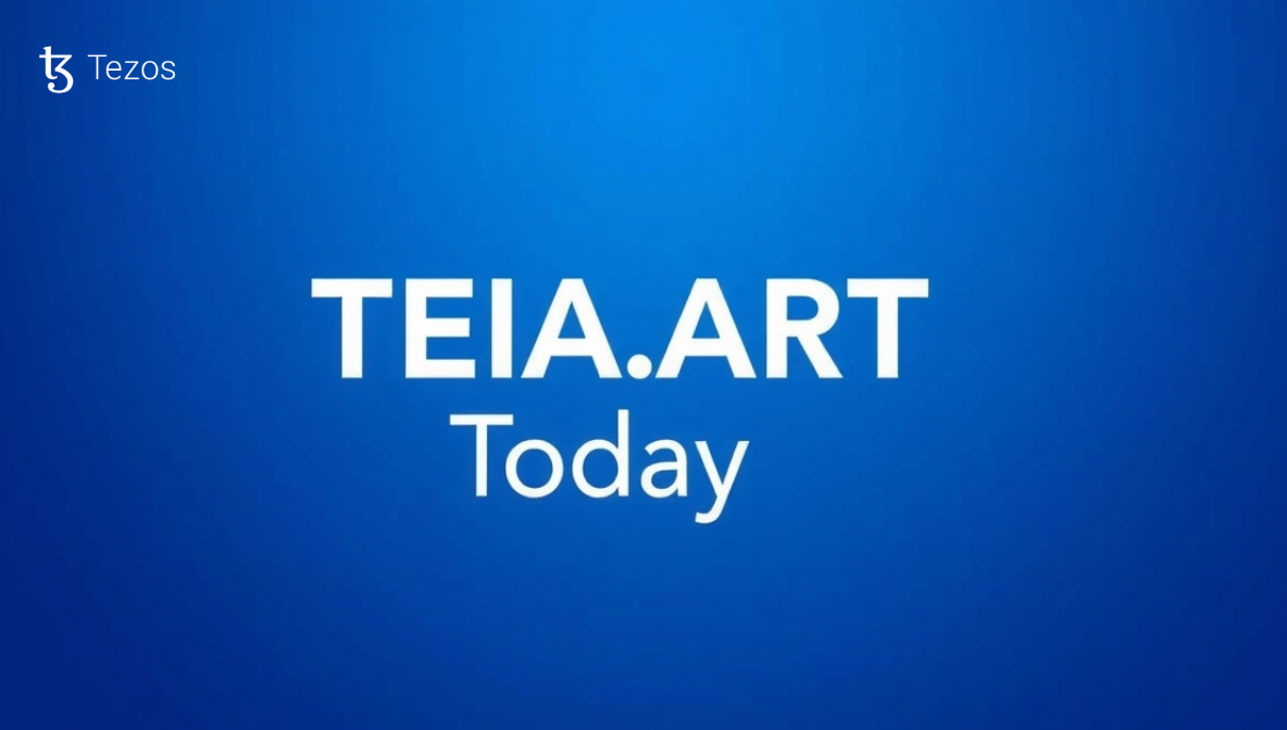 TEIA.ART Today