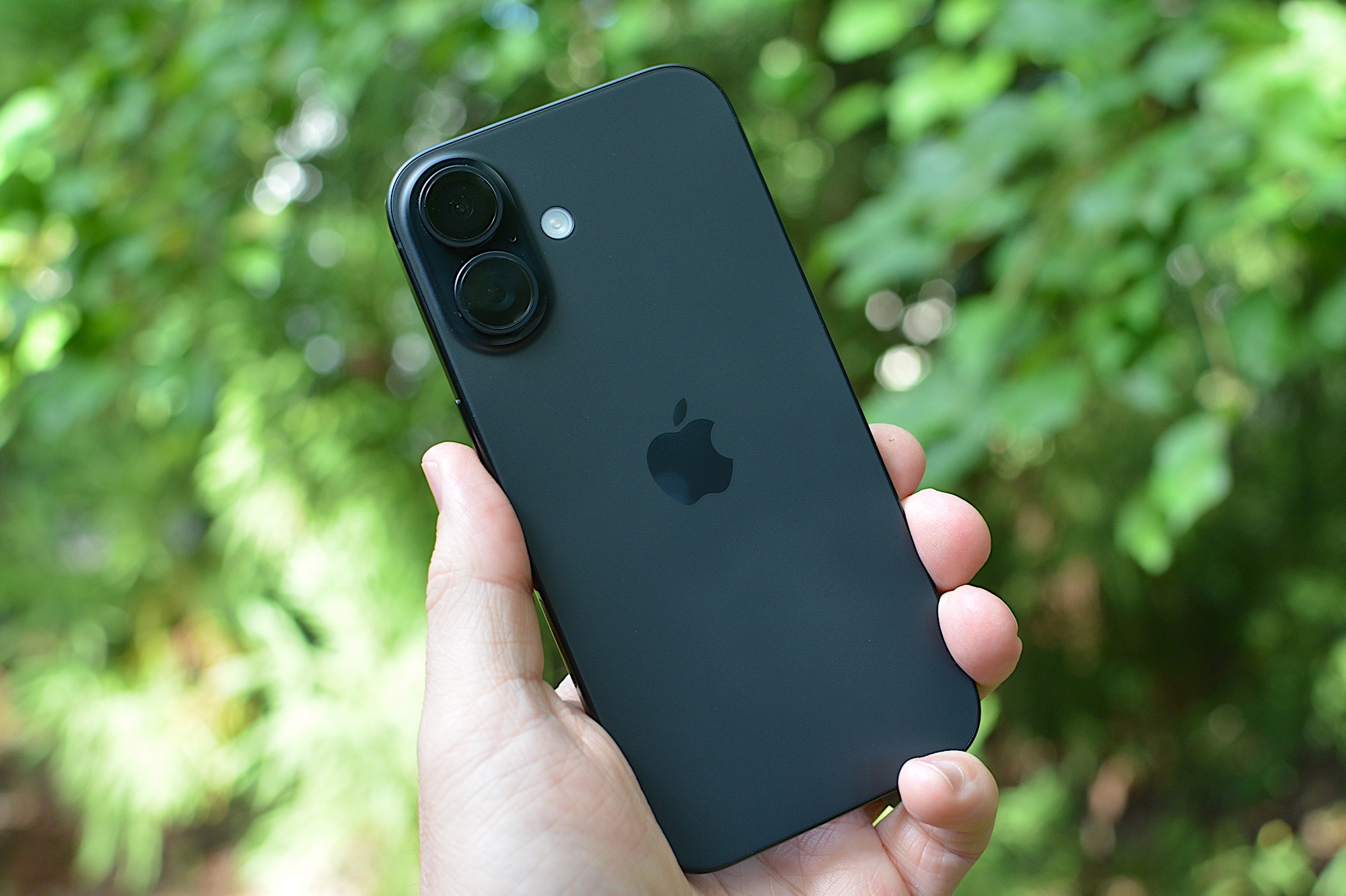 The best iPhones for 2026: Which model should you buy?