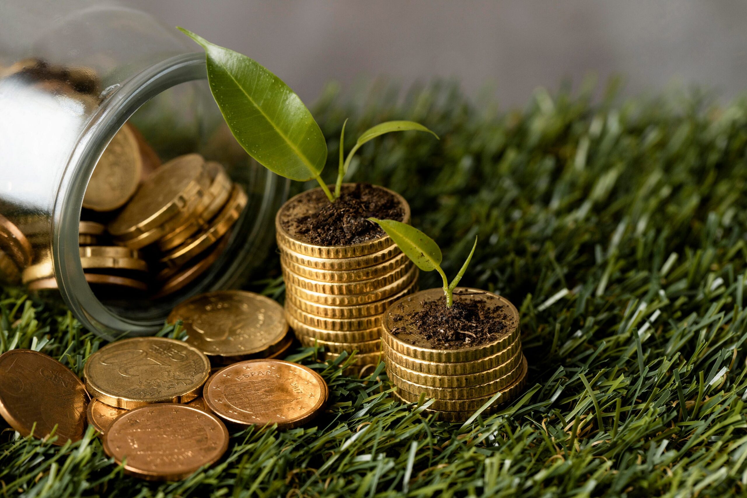 The Limits of Tokenising Nature