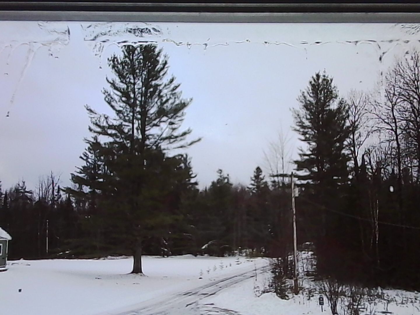 The ridiculously tiny Kodak Charmera captured our hearts (and lots of shoddy pictures)