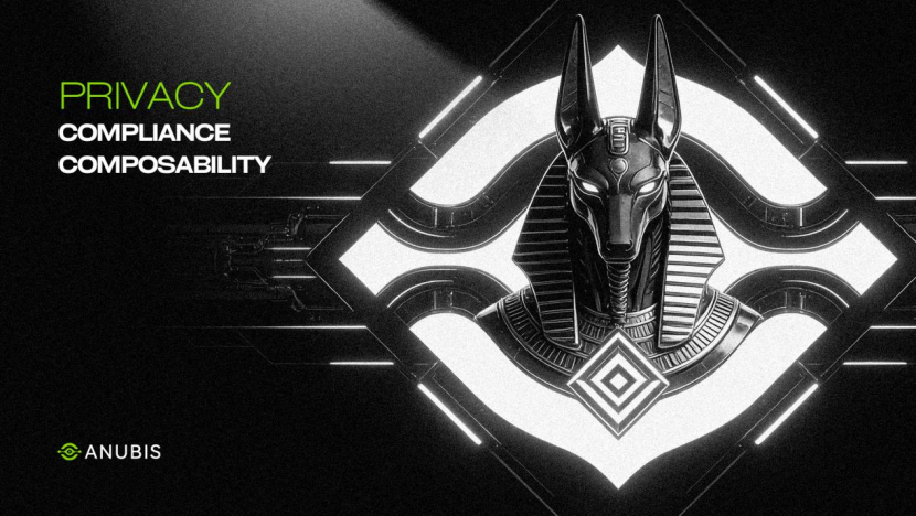 The Underlying Logic of Selective Privacy: A Deep Dive into Anubis’s Hybrid State Model