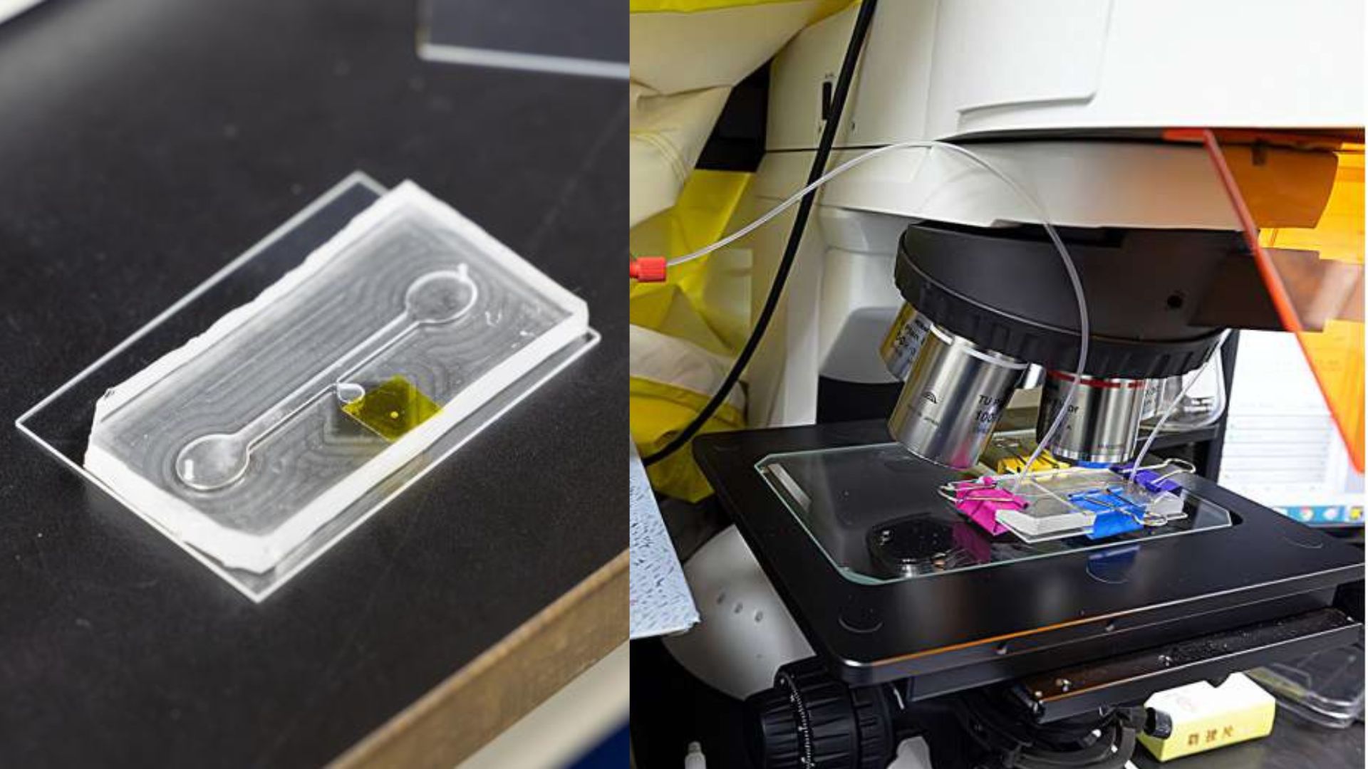 Tiny microfluidic chip extracts forever chemicals from muddy water in five minutes
