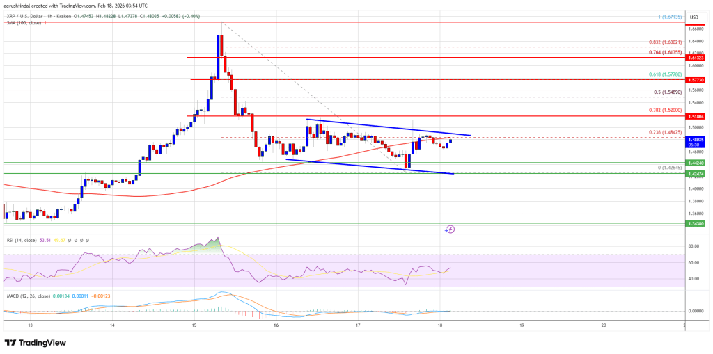 XRP Price Signals Potential Upside Reversal After Prolonged Weakness