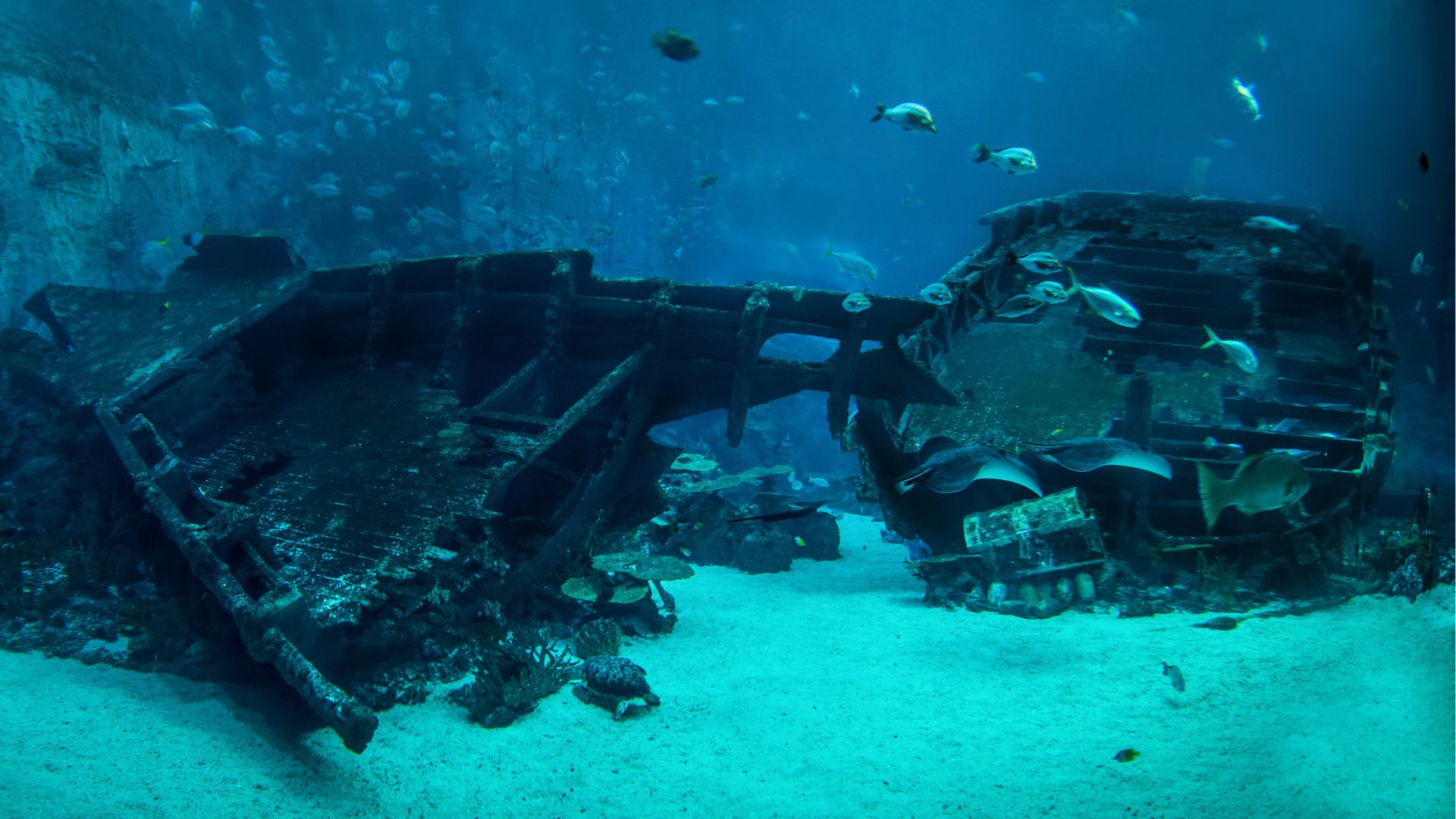 328-foot-long ship graveyard found off coast of 2,000-year-old ancient Greek city