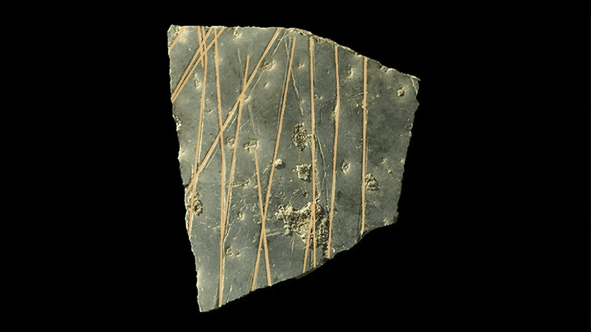 60,000-year-old markings on ostrich egg shells reveal world’s oldest ‘geometric grammar’