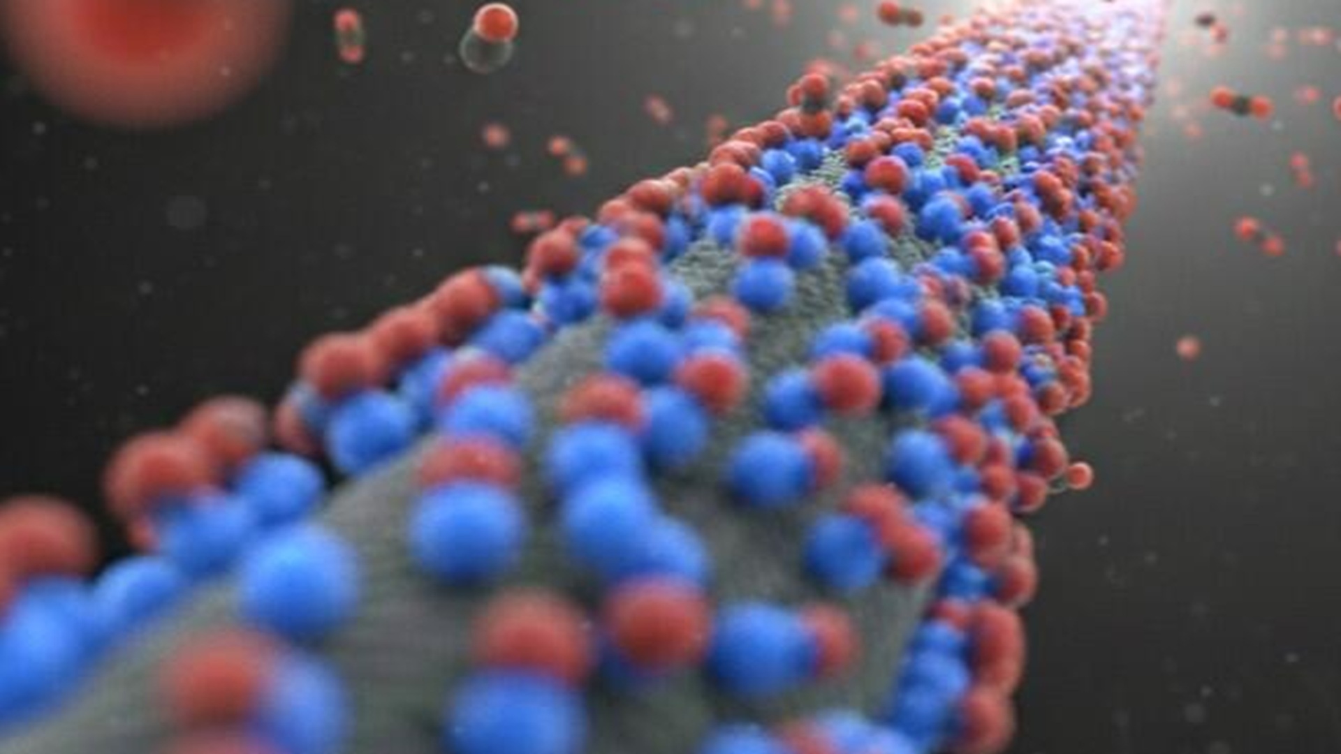 Amine-functionalized carbon material releases CO2 at 140°F, cuts energy costs