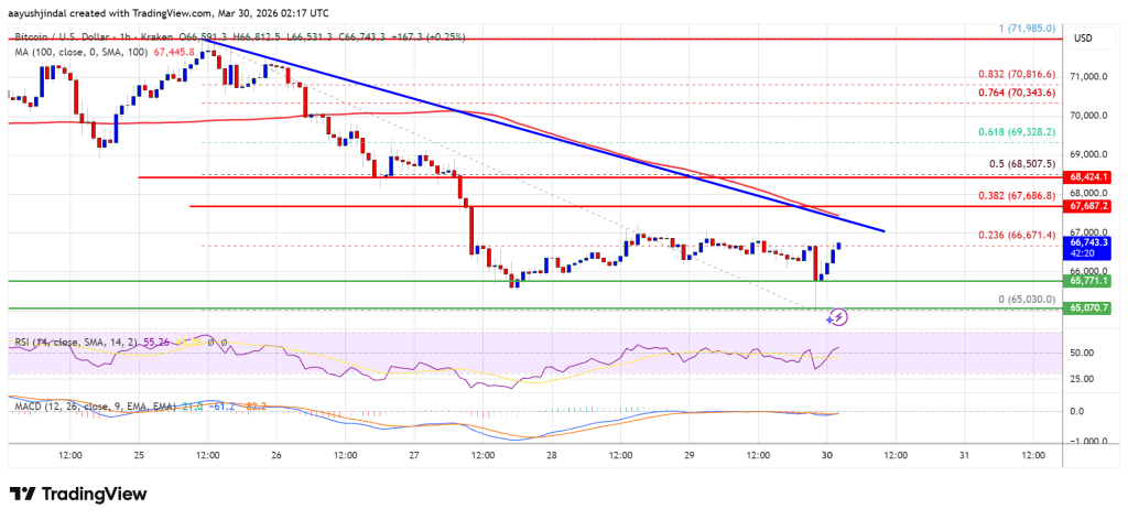 Bitcoin Price Stalls Under $68,800, Resistance Caps Upside Again