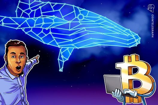 Bitcoin whales shift $100M+ as oil spike rattles markets
