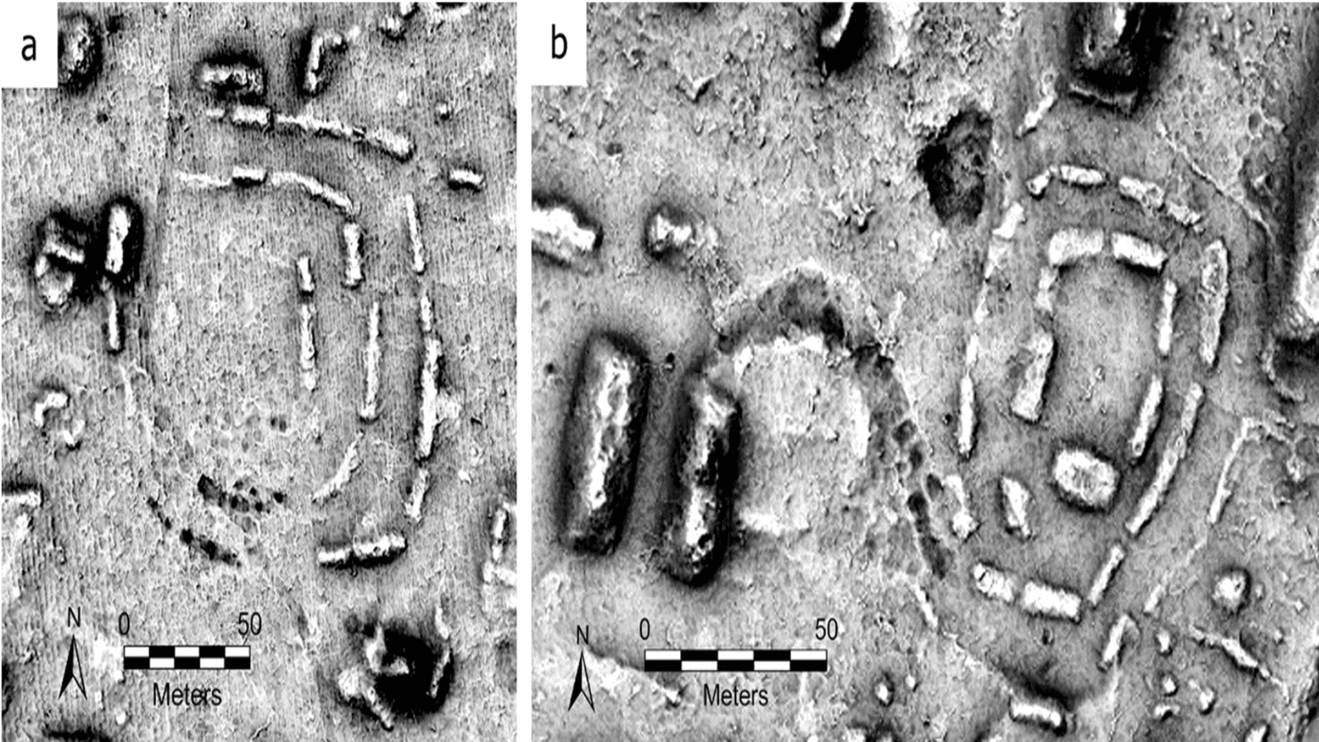 Distinct form of Mayan architecture identified as ancient marketplace: Study