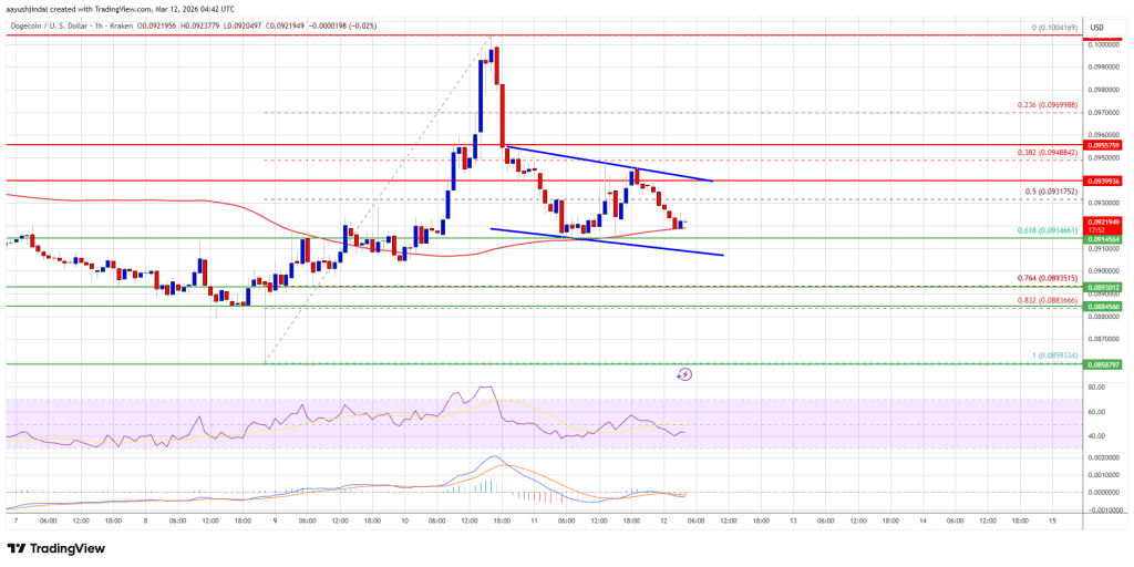 Dogecoin (DOGE) Pullback Sparks Tension — Will Support Hold?