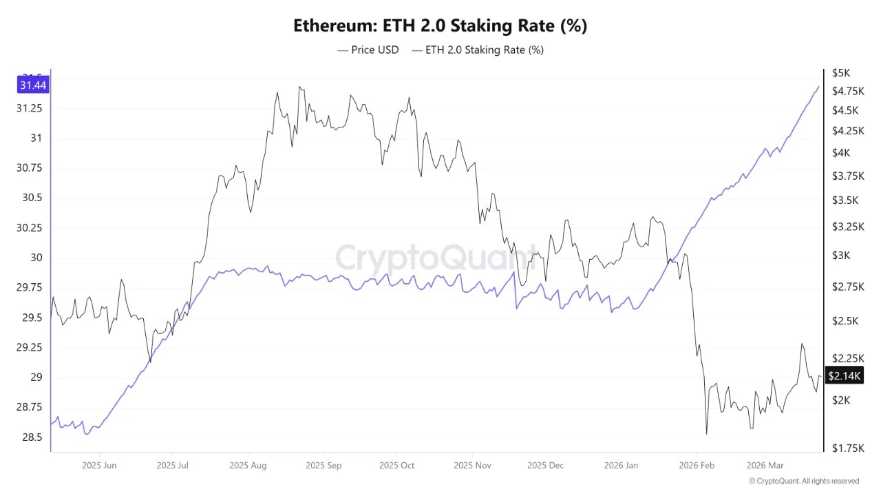 Ethereum Staking Ratio Hits Record 31.4% As Exchange Supply Crashes To 2016 Lows