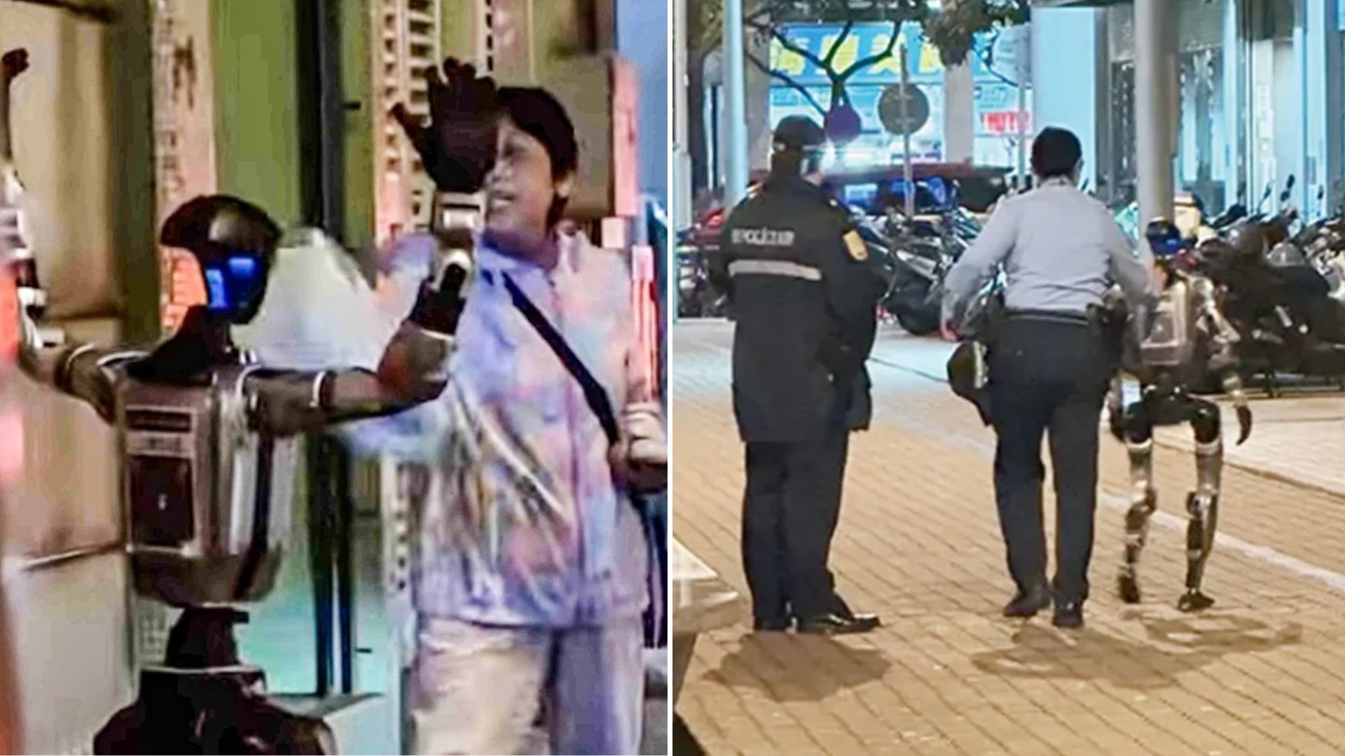 First humanoid robot ‘arrested’ after startling a 70-year-old woman in China