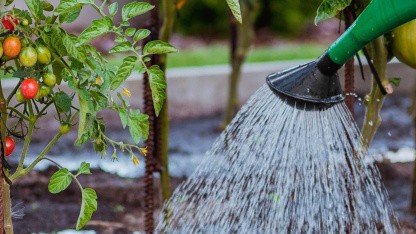 Für EDA, EUV und Wafer: Chinas Halbleiterbranche fordert nationale Champions