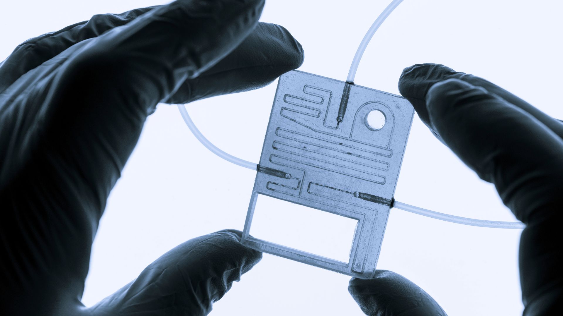 Korea develops rapid, reversible smart actuators without motor for next-gen robots