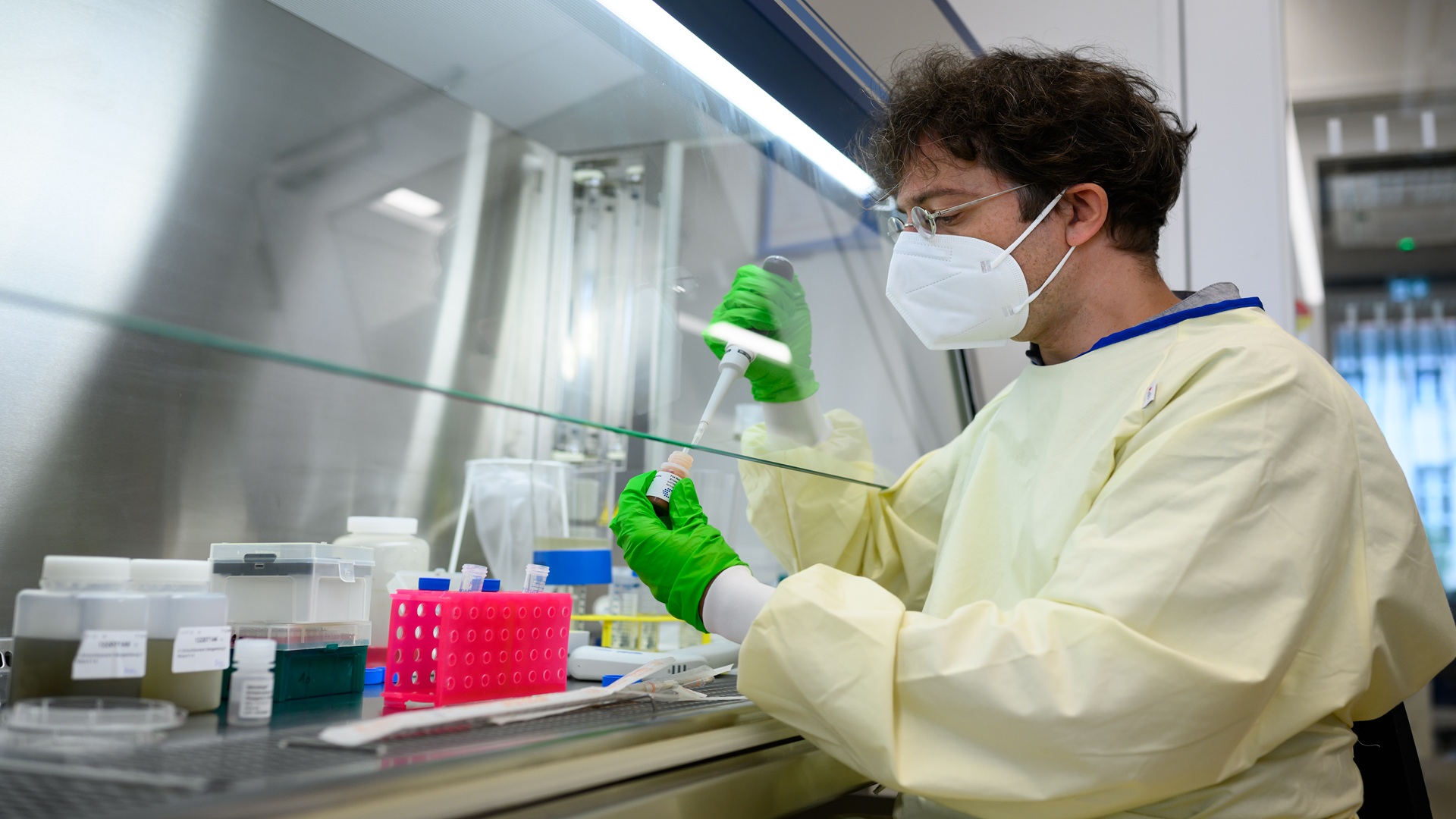 Living bacteria turn electricity into chemical detector in new bioelectronic sensor