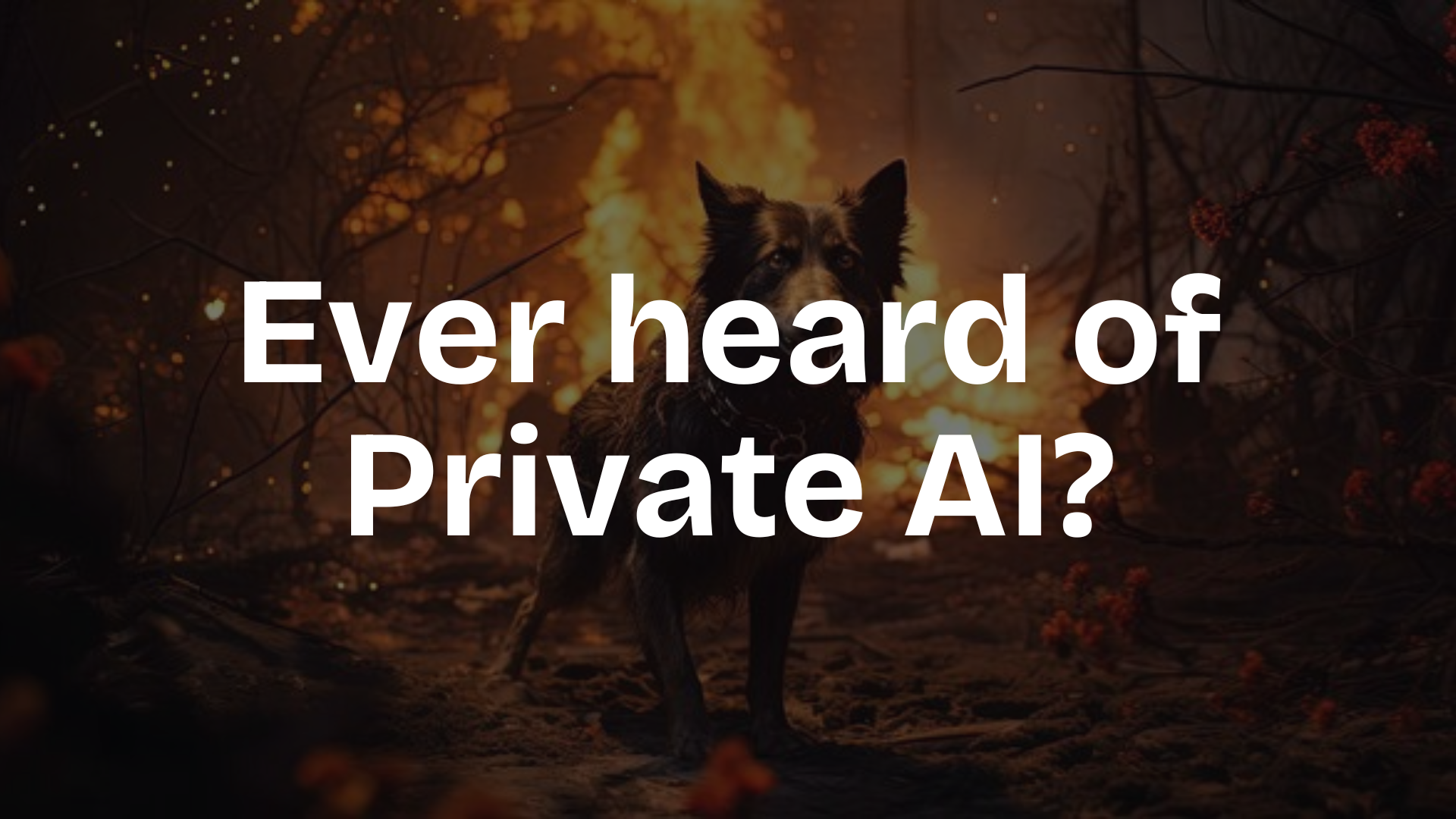 Loyal: Private AI for Solana