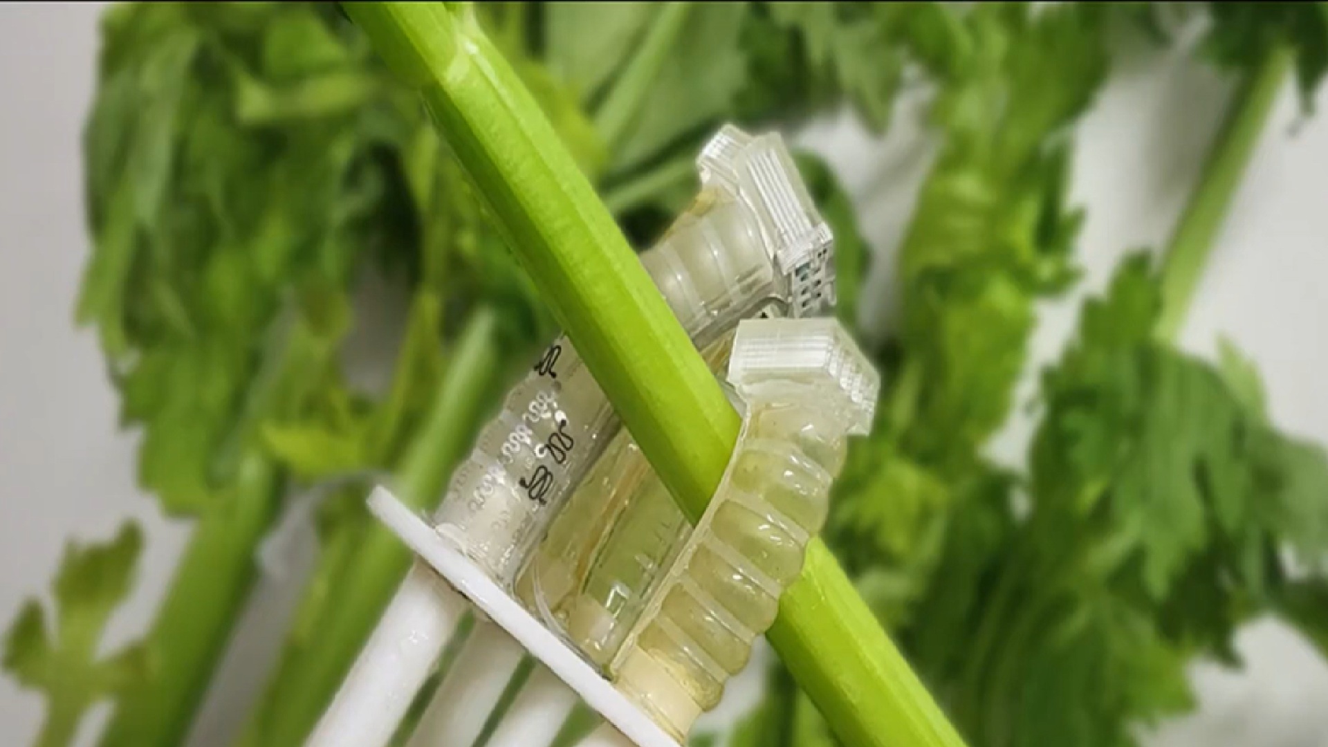 New fully compostable robot survives over 1 million uses then disappears in soil