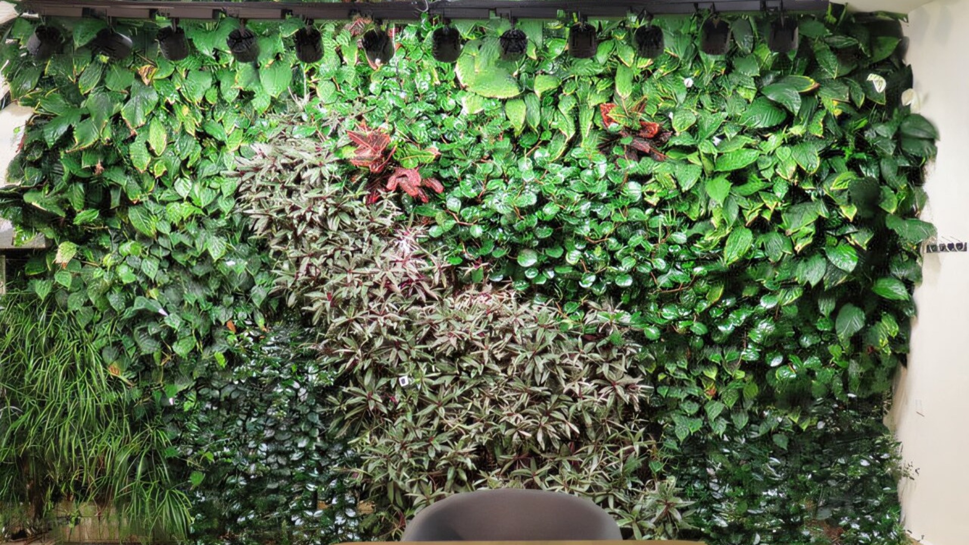 New web app predicts indoor green wall’s quality based on 2,000 measurements