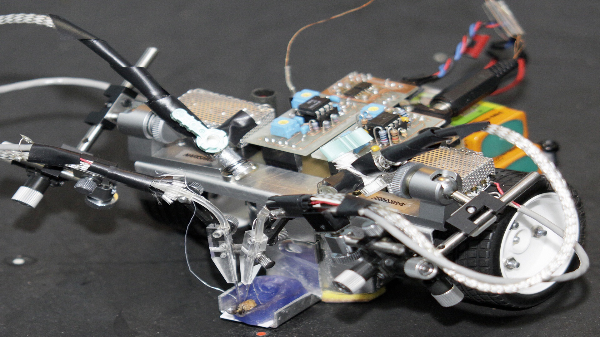 Silkworm-inspired robot keeps tracking odors even after losing one sensor