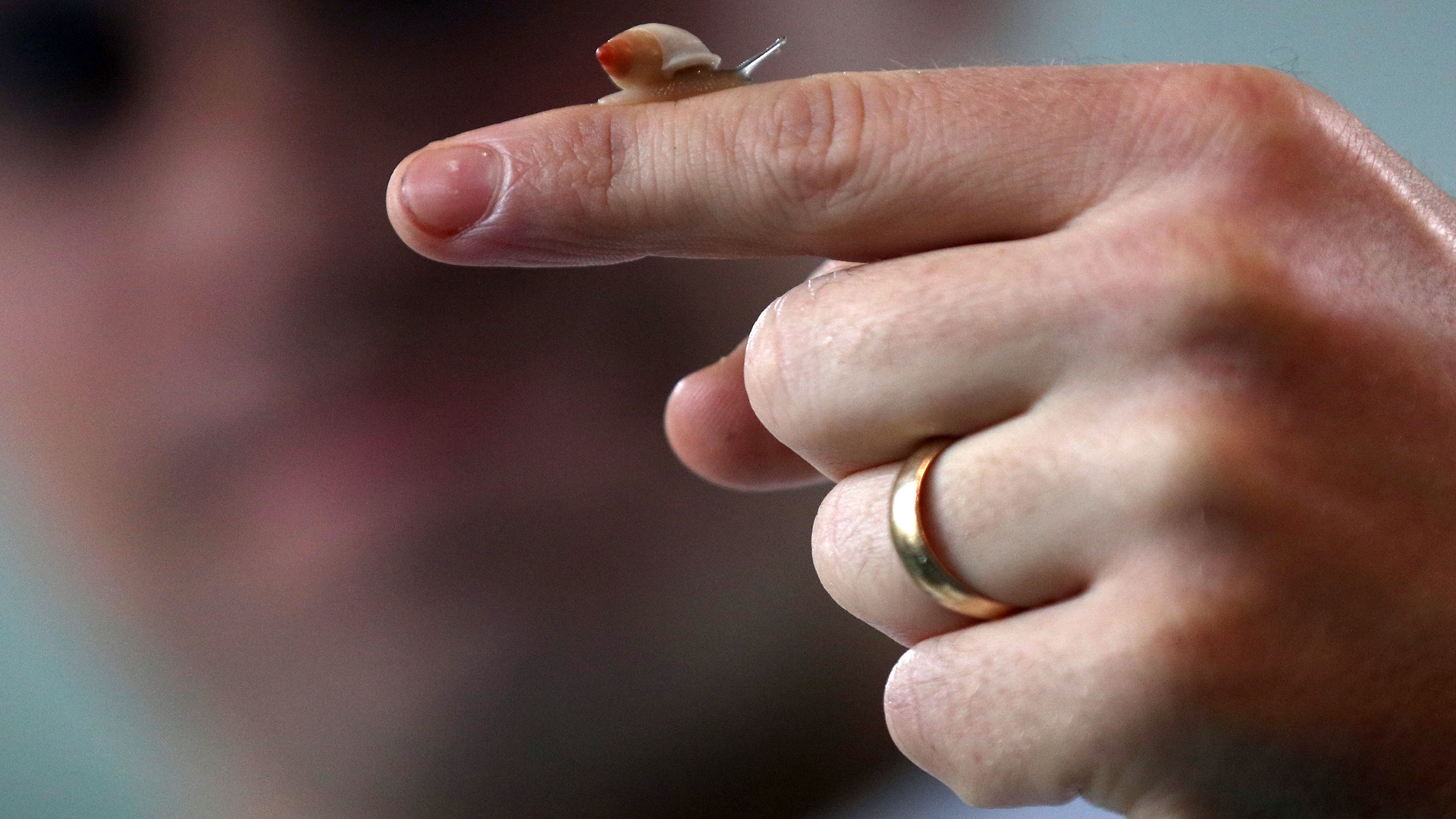 Snail-inspired robots use slime-like motion for precise cancer drug delivery