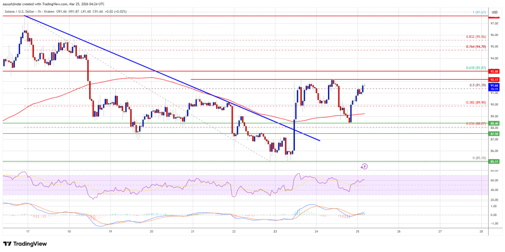 Solana (SOL) Recovery Firms, Bulls Prepare for Stronger Upside Push