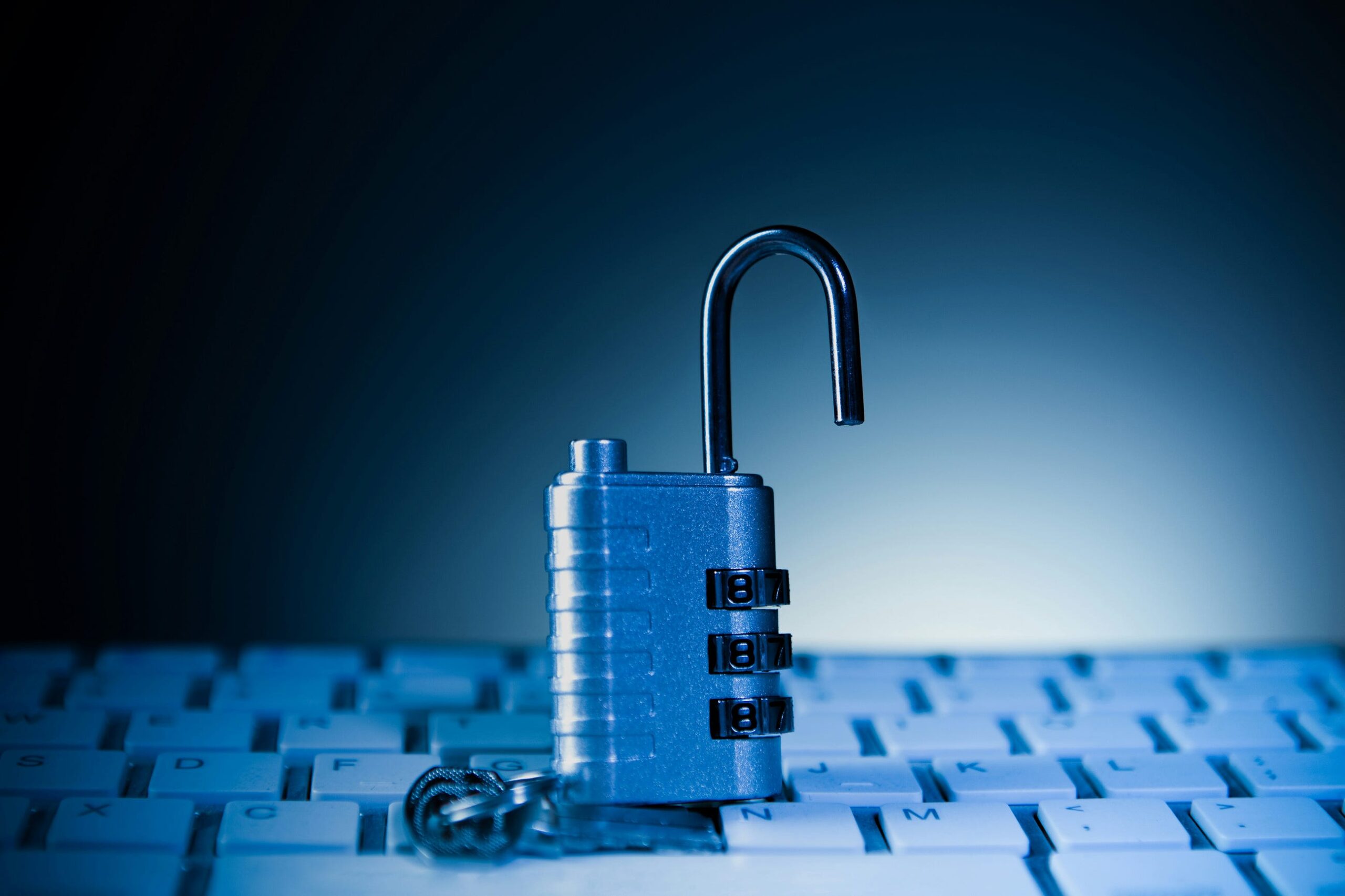The Anatomy of Blockchain Security: Double Spending, Merkle Trees, and Cryptographic Keys