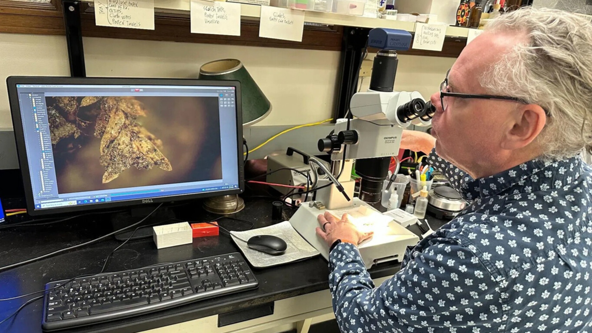 US grave-robbing case traced to suspects through microscopic moss evidence