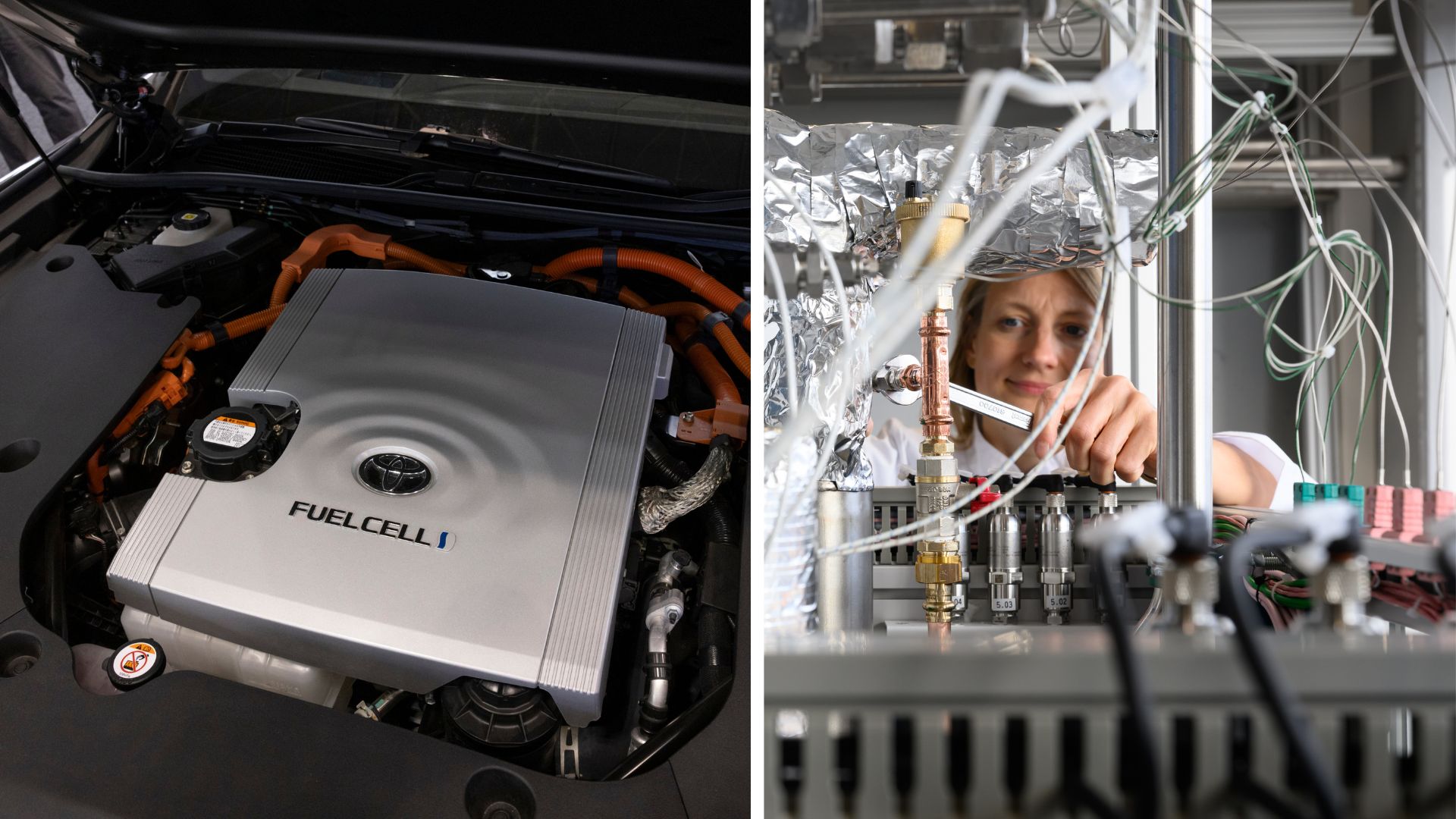US scientists could make clean energy more affordable with new platinum-free fuel cells
