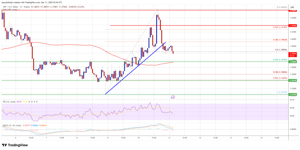 XRP Price its Wall at $1.45, Downside Risks Begin Building