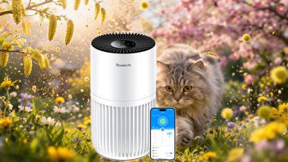 Anzeige: Kompakter Luftreiniger von Govee im Angebot bei Amazon