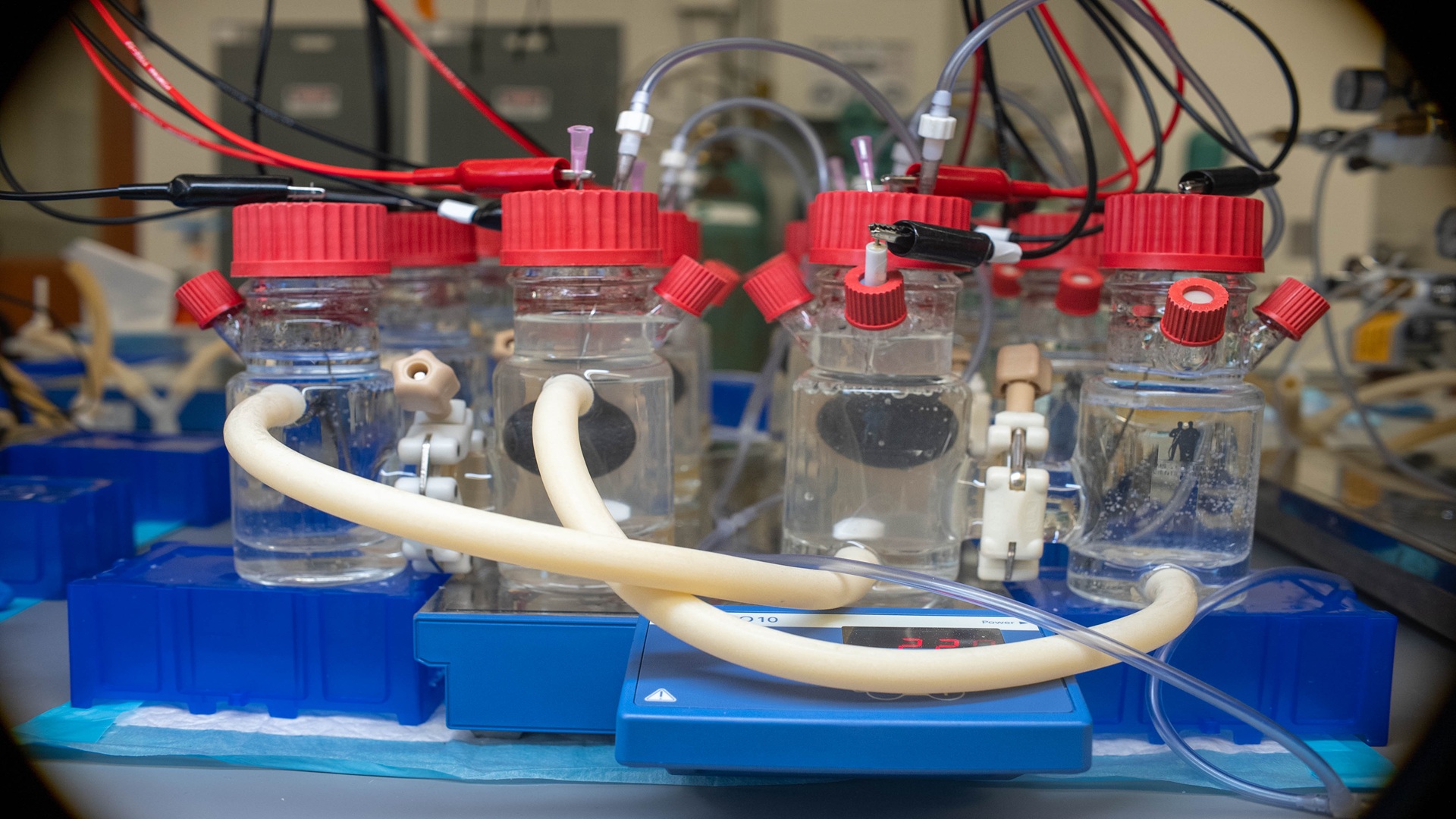 Bioelectronic sensor turns chemical signals into electricity using bacteria