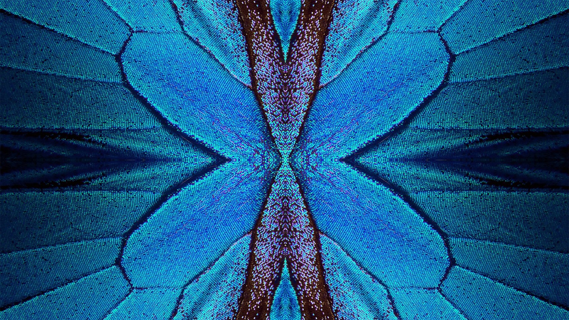 Butterfly-wing lattice to make planes stronger and buildings safer during earthquakes