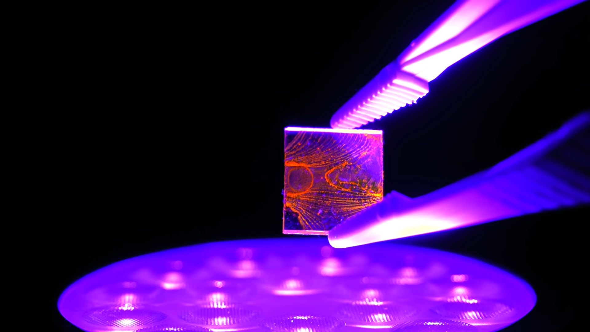 Can defects boost light? Study shows flaws boost energy flow in organic semiconductors