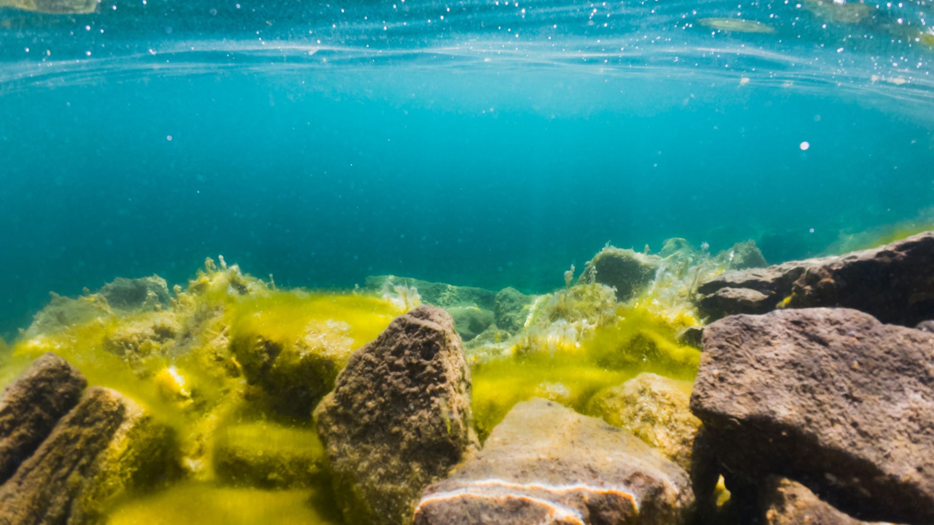 China releases first detailed map locating seabed minerals in eastern seabed