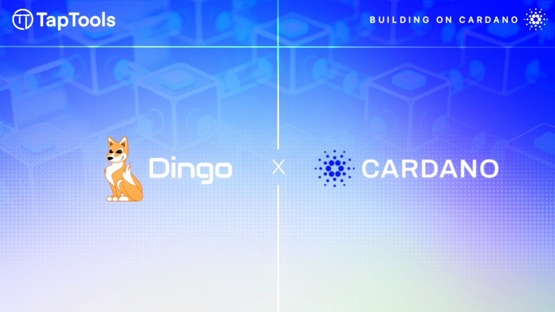 Dingo Treasury Proposal to Bring Node Diversity to Cardano