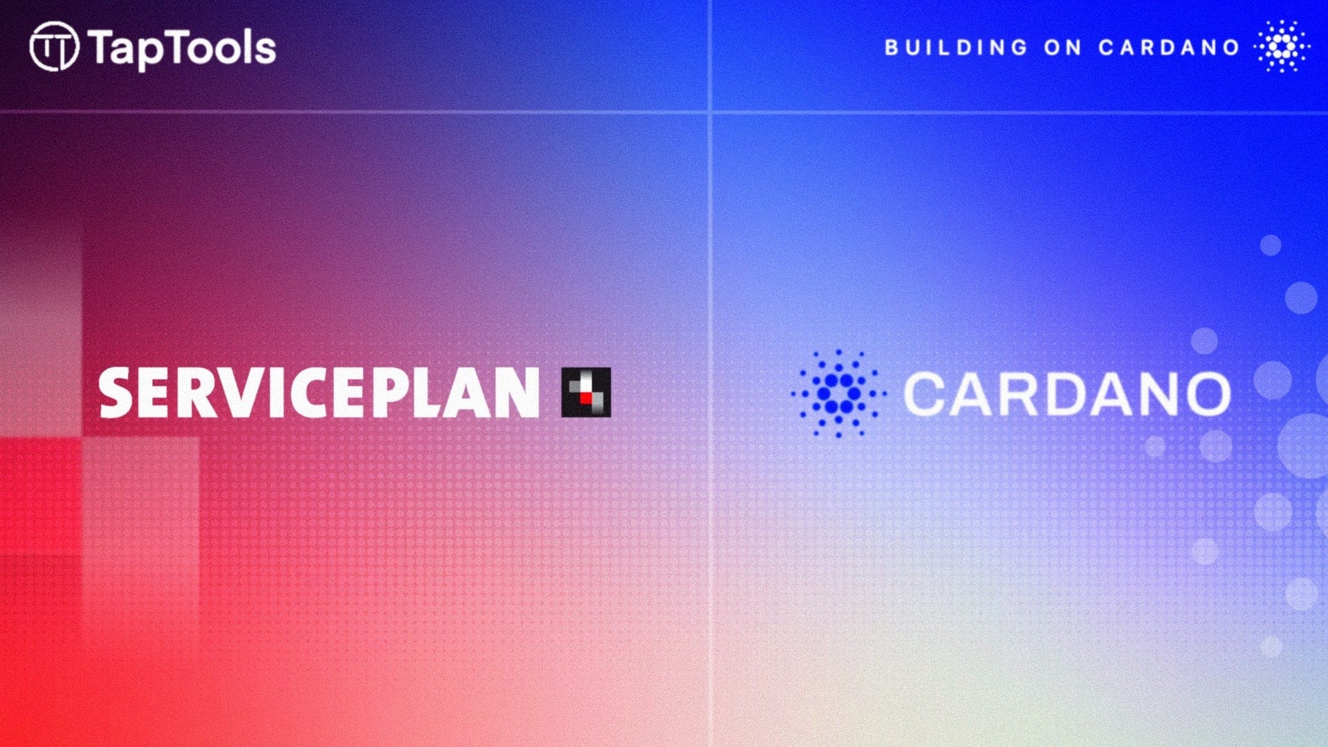 Does Cardano Need Paid Marketing?