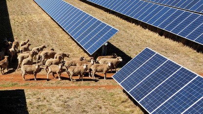 Energiewende: Australiens Batterieförderung zeigt Wirkung