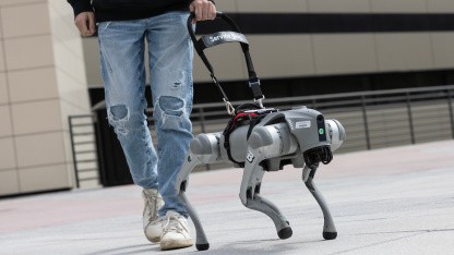Künstliche Intelligenz: Roboter-Blindenhund mit Stimme
