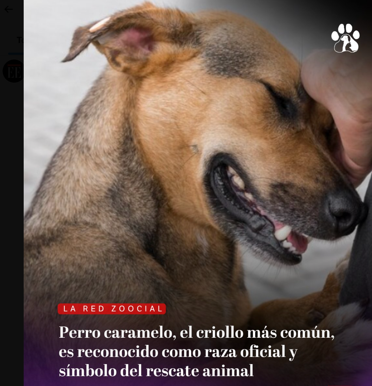 La era de los AI Agents.