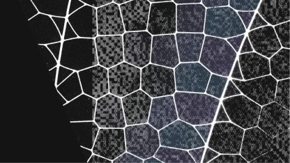 Mythos: Anthropics neues KI-Modell soll kein Hacker-Tool werden