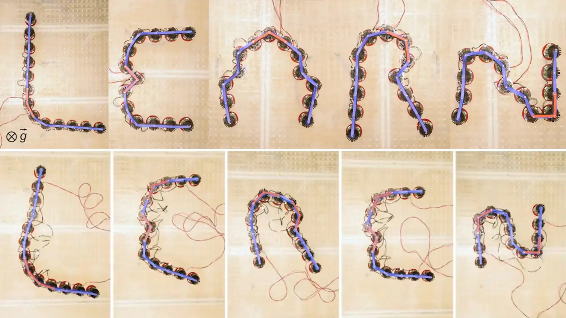 New metamaterials learn shapes, adapt behavior, and move like living systems