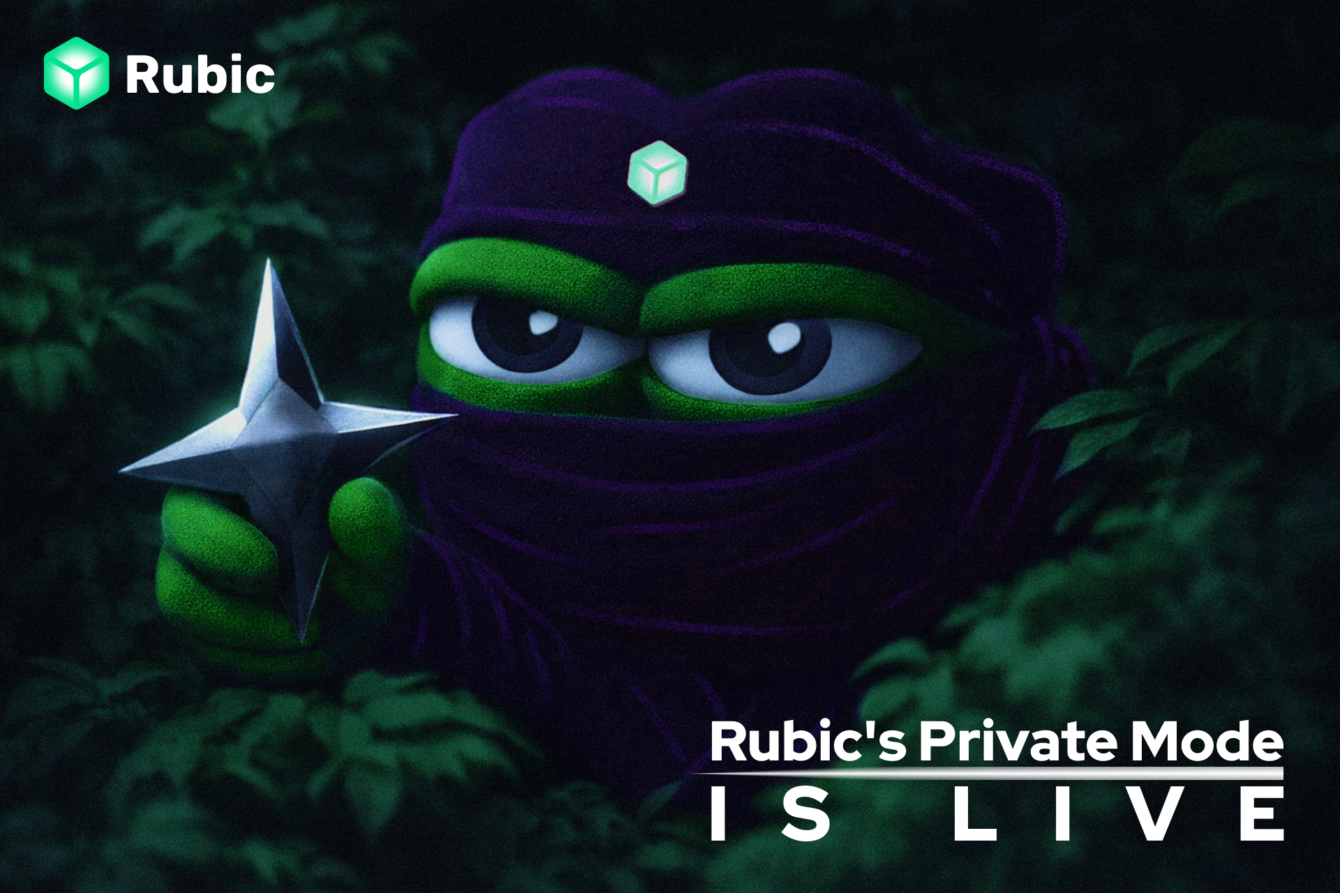 Rubic Privacy Manifesto