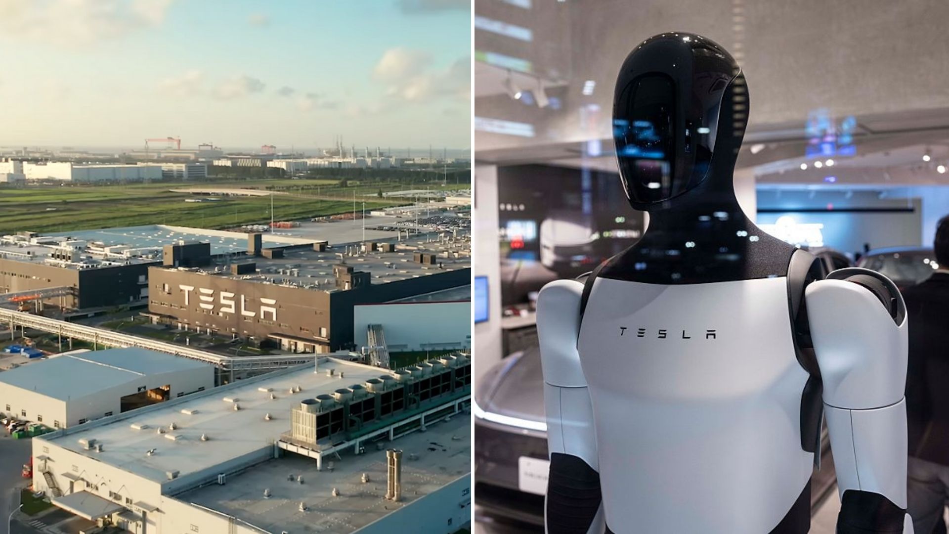 Tesla’s Shanghai gigafactory could unlock mass humanoid robot production, says executive